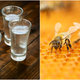 Illustration for article titled Wait, you can distill vodka from honey?